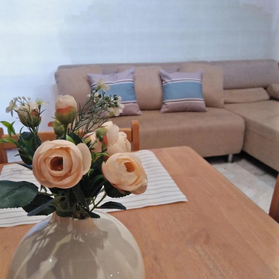 Cebu Pungko-Pungko Hostel Dış mekan fotoğraf